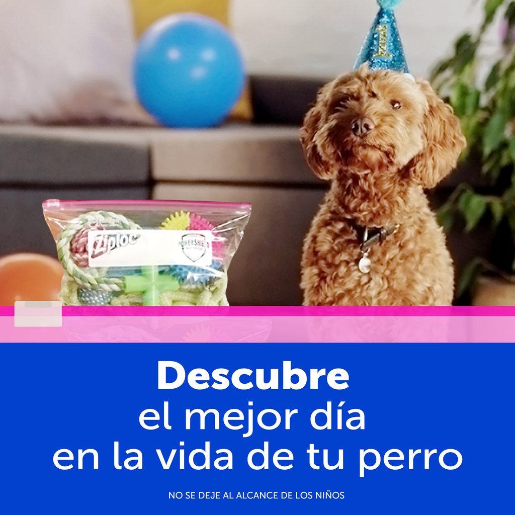 Ziploc Bolsa Reutilizable para Organizar Slider Mediana 15 piezas