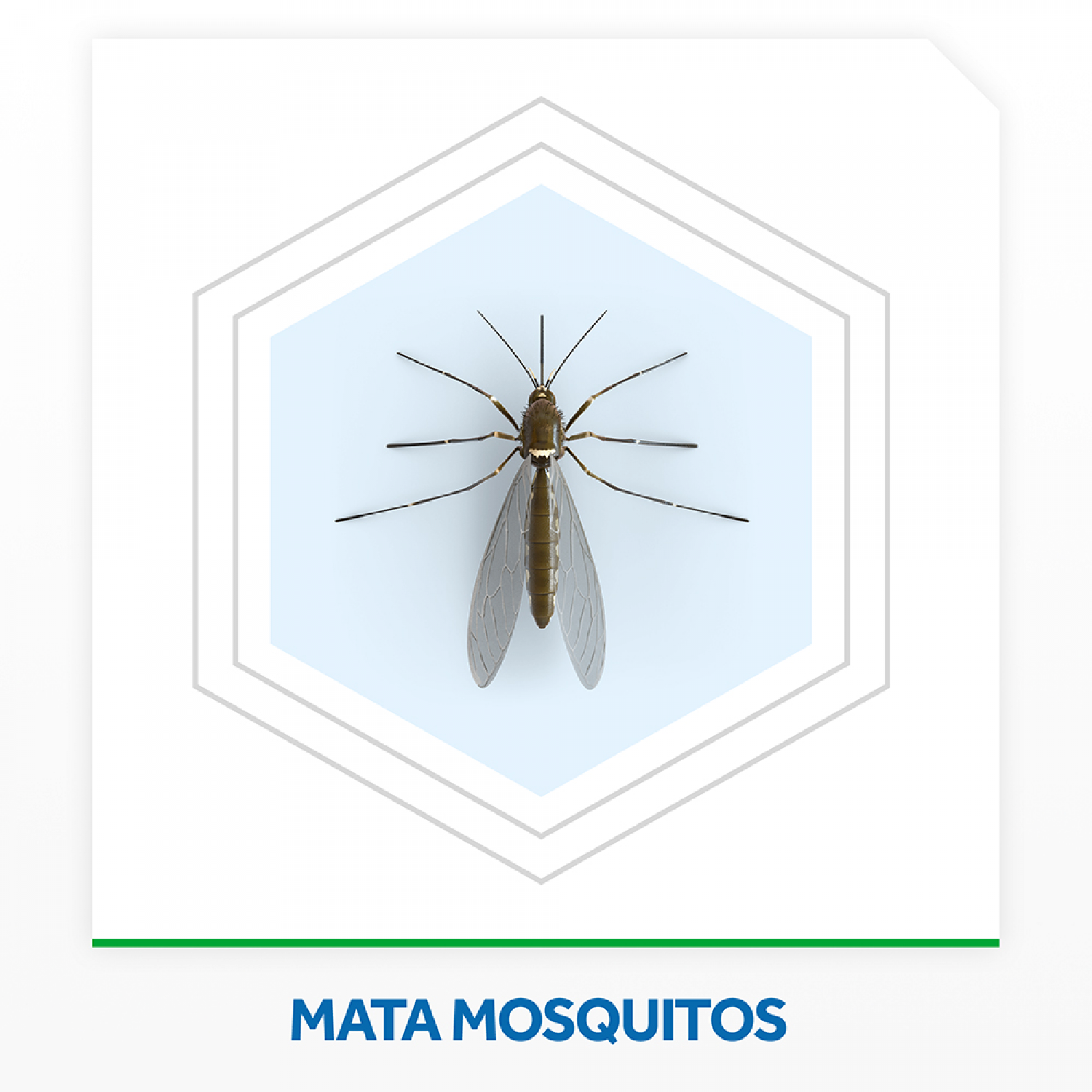 Raid Insecticida en Laminitas + Aparato ( 12 Unidades)