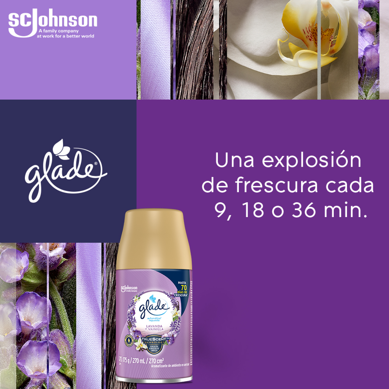 Glade Aromatizante Automático en Aerosol Repuesto Lavanda y Vainilla 175 g