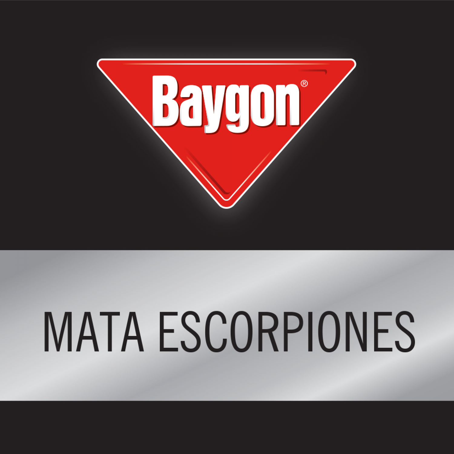 Baygon Poder Mortal Insecticida en Aerosol 400 mL
