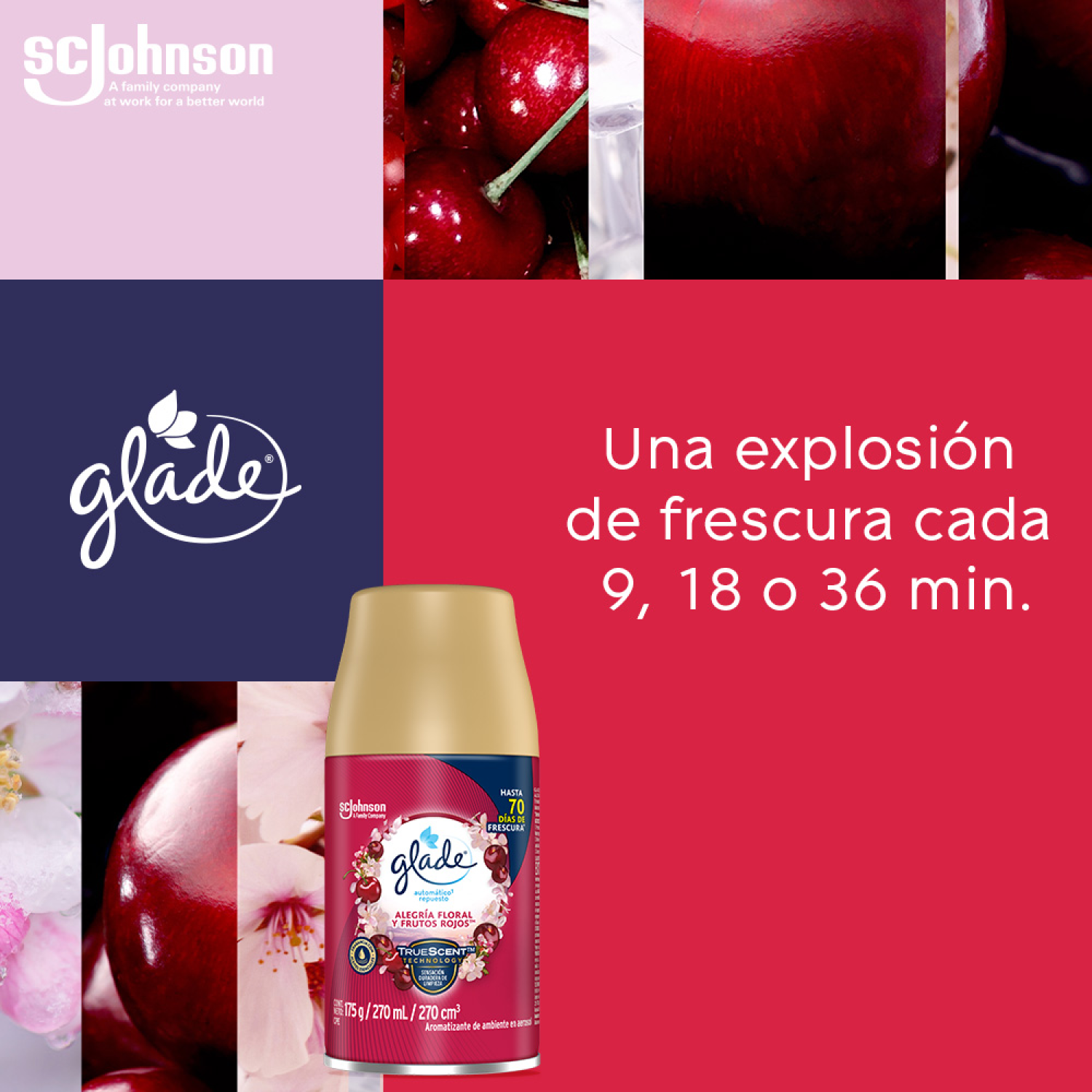 Glade® Aromatizante Automático en Aerosol Alegría Floral y Frutos Rojos 175 g Repuesto