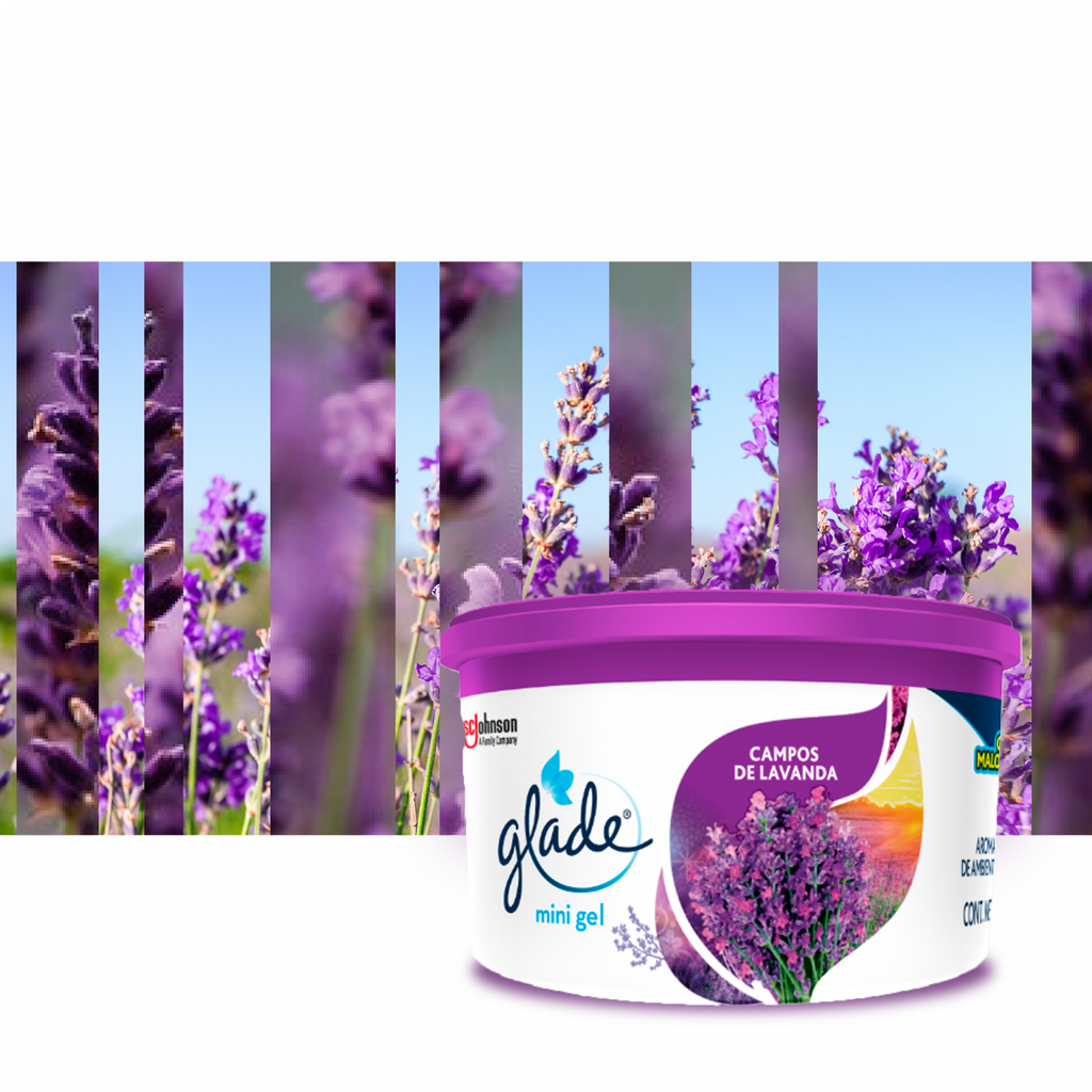 Glade Aromatizante Mini Gel Campos de Lavanda 70g