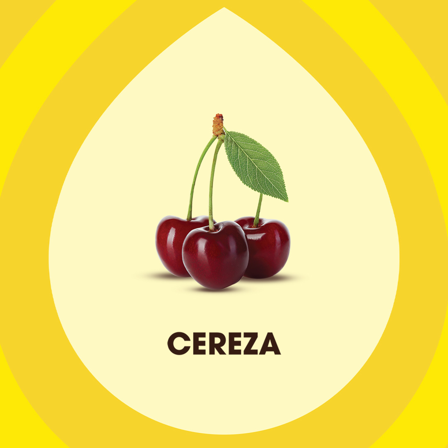 Pledge Lustrador Renovador de Muebles de Madera y Cuero en Aceite Cereza 500 mL