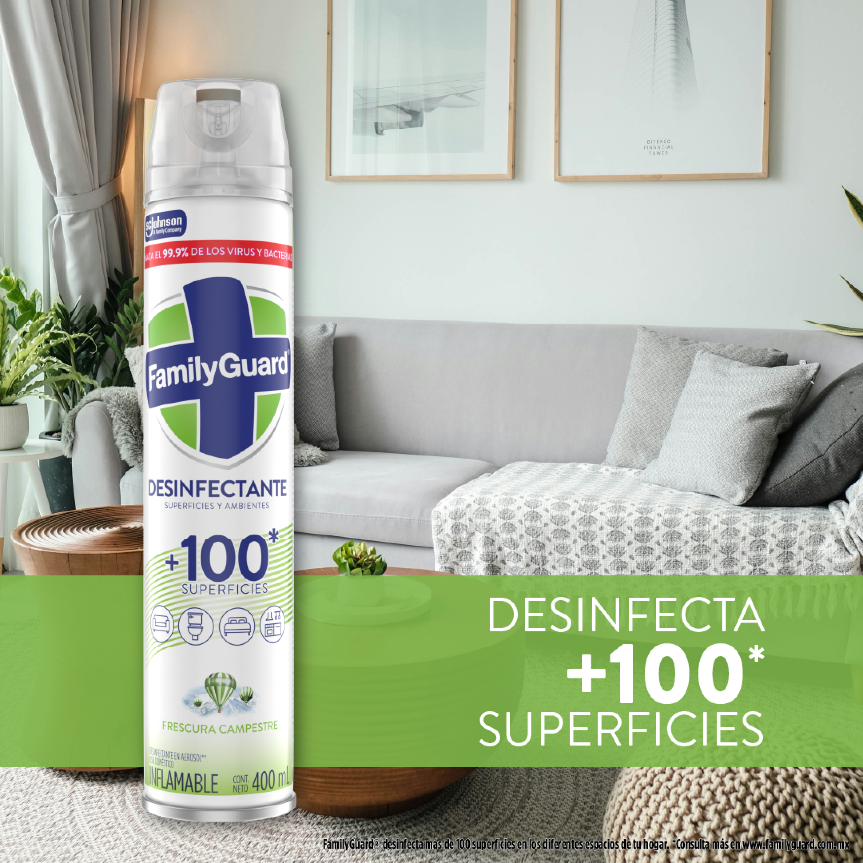 FamilyGuard Desinfectante y Eliminador de Olores en Aerosol Frescura Campestre 400 ml