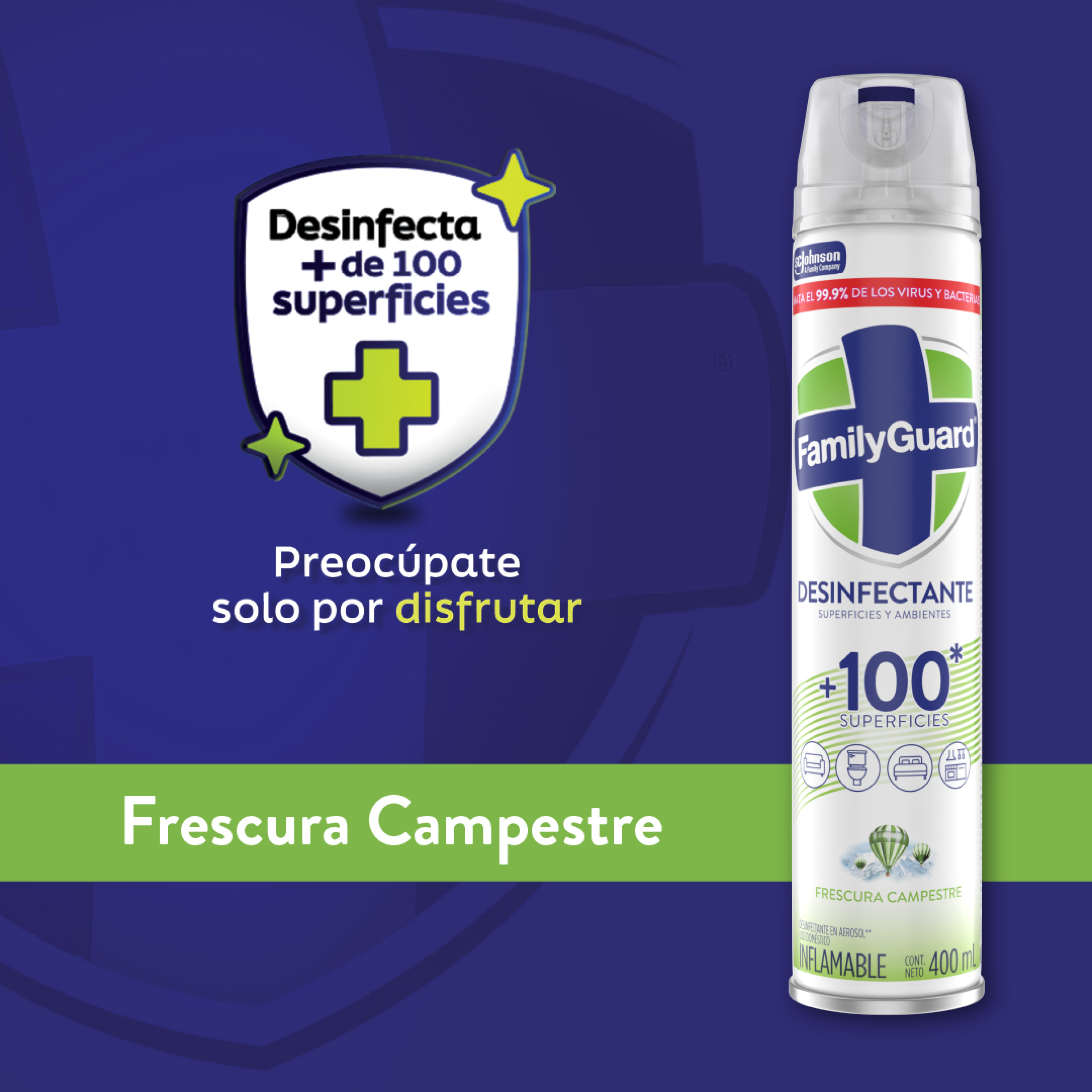 FamilyGuard Desinfectante y Eliminador de Olores en Aerosol Frescura Campestre 400 ml