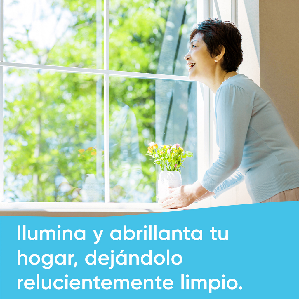 Windex Limpiador Líquido Para Vidrios y Superficies, Brillo Fácilmente, Original, 1 Atomizador, 640mL