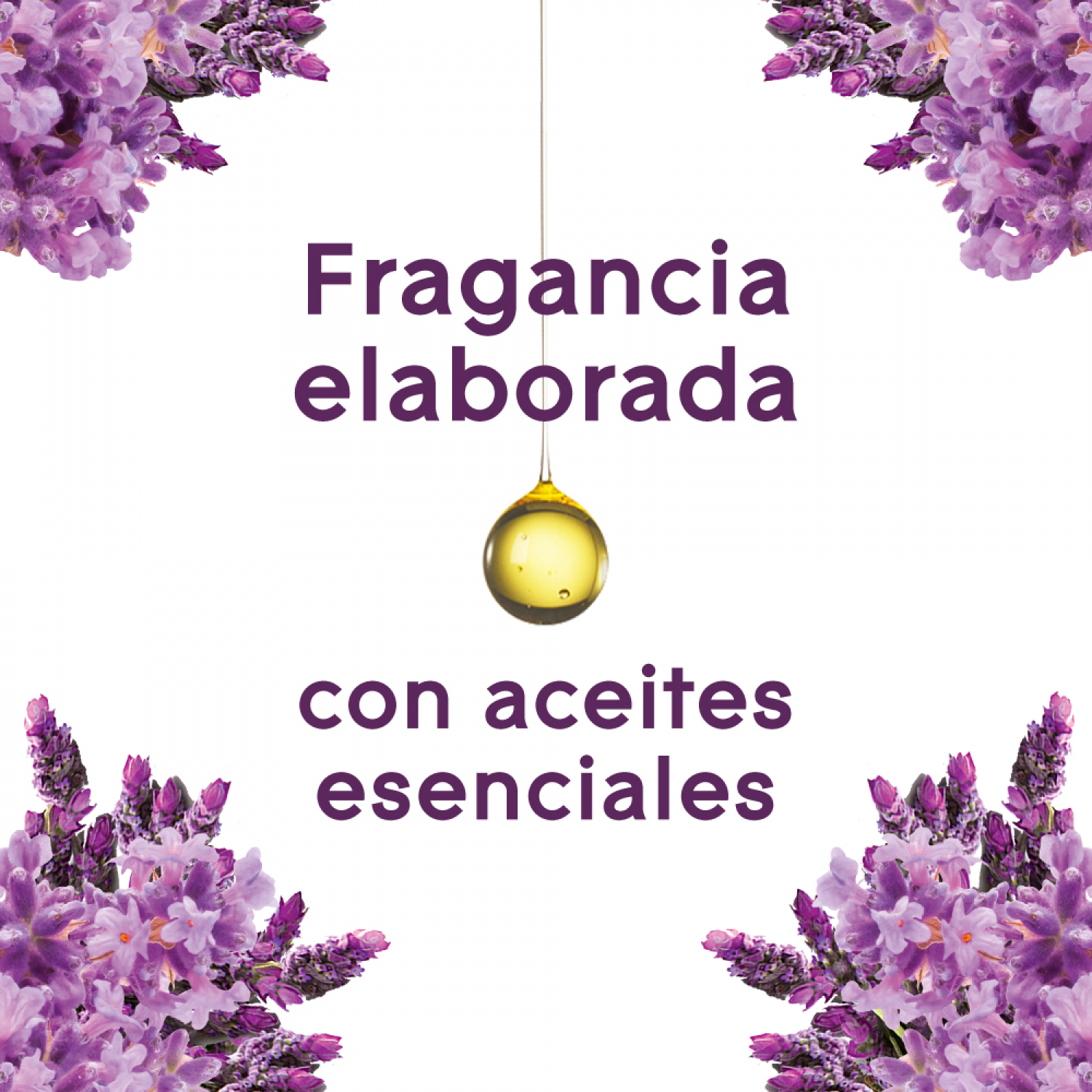 Glade Aromatizante de ambiente en gel Campos de Lavanda 180g