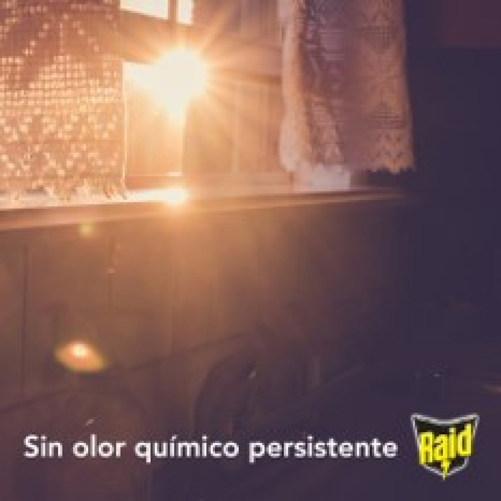 Raid Insecticida en Aerosol para Casa y Jardín, Mata Insectos, Plaguicida de Uso Domestico, Aroma Naranja, 430mL