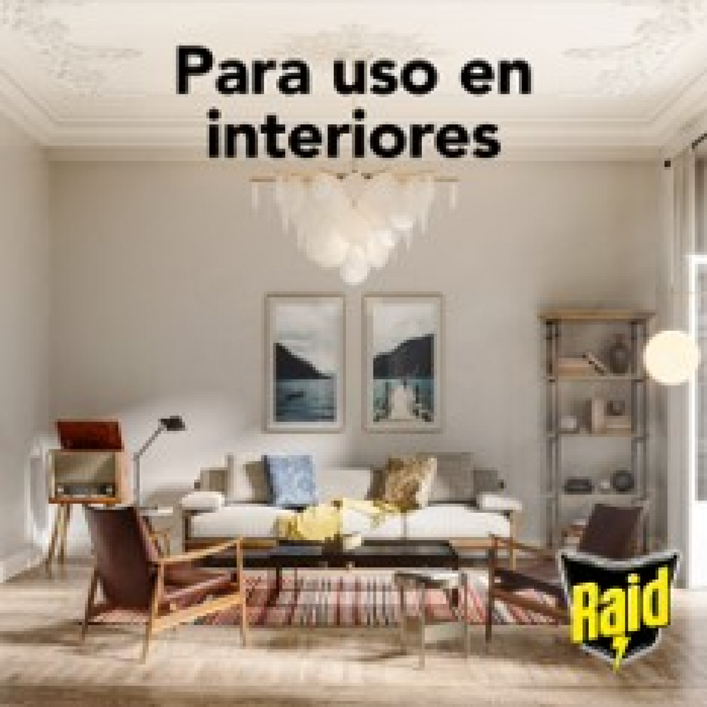Raid Insecticida en Aerosol para Casa y Jardín, Mata Insectos, Plaguicida de Uso Domestico, Aroma Naranja, 430mL