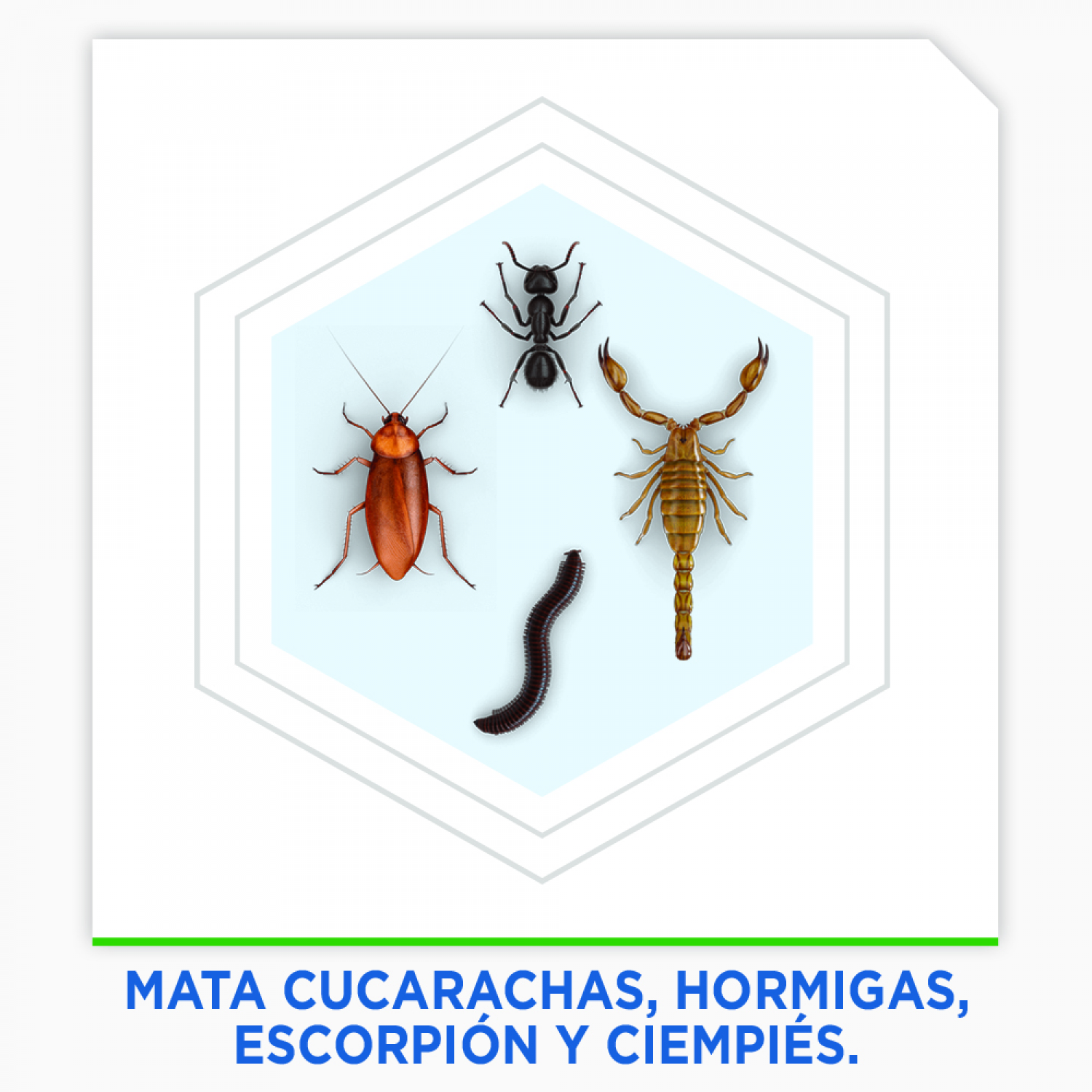 Raid Max® Insecticida en Aerosol, Mata Cucarachas y Insectos Rastreros, Plaguicida de Uso Domestico, 400mL