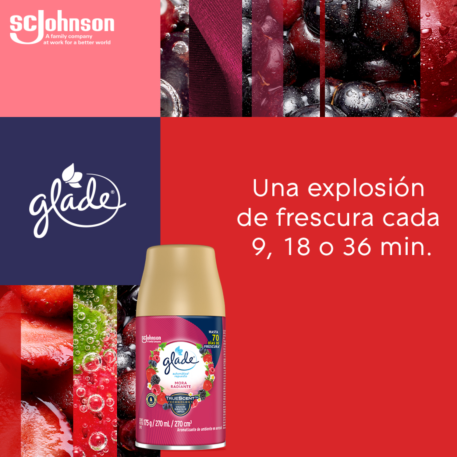 Glade® Aromatizante Automático en Aerosol Repuesto Mora Radiante 175 g