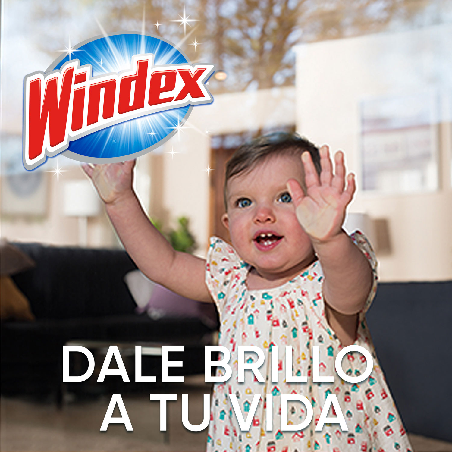 Windex Original, Repuesto 500mL