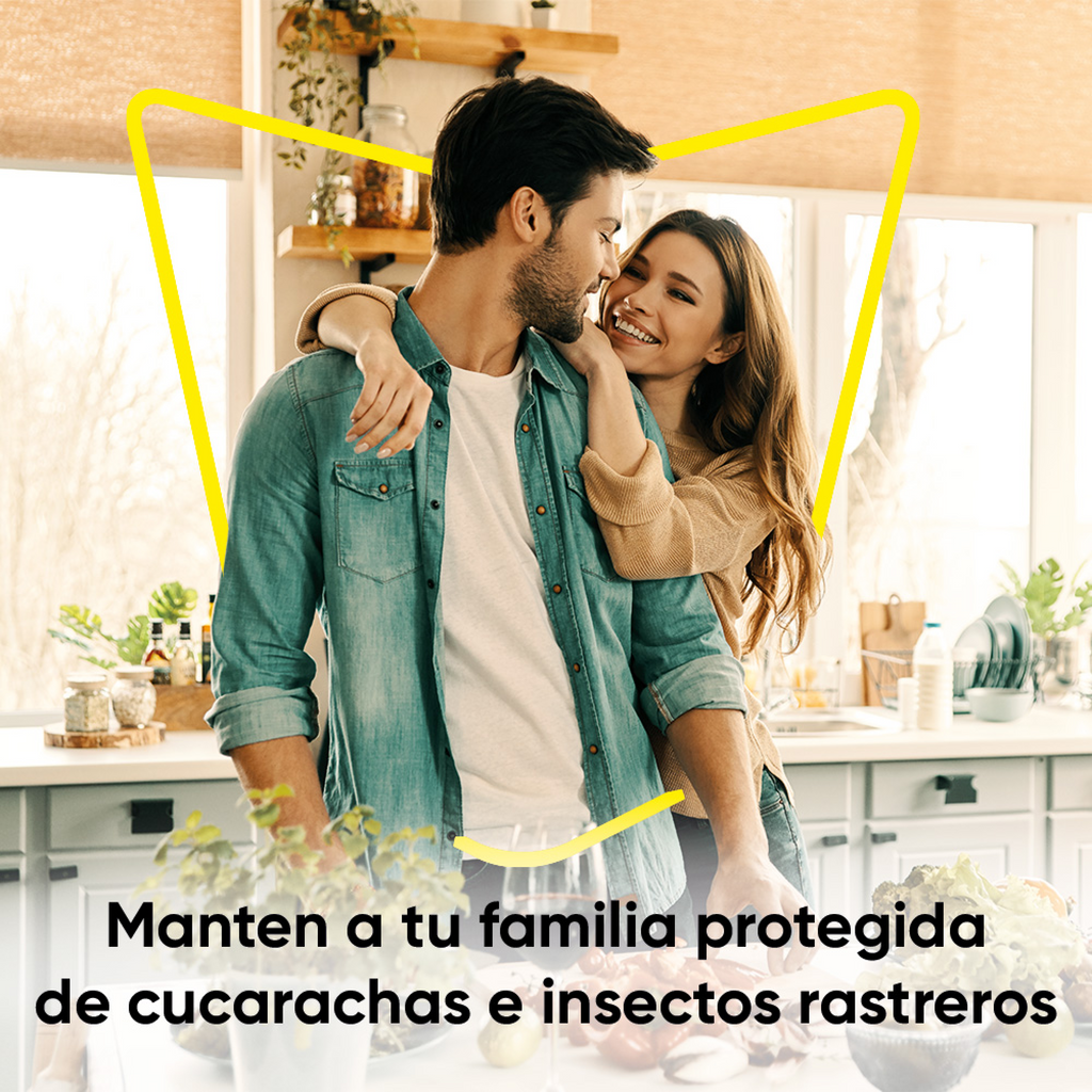 Raid Max® Insecticida en Aerosol, Mata Cucarachas e Insectos Rastreros, Plaguicida de Uso Domestico, Aroma Eucalipto, 430 mL