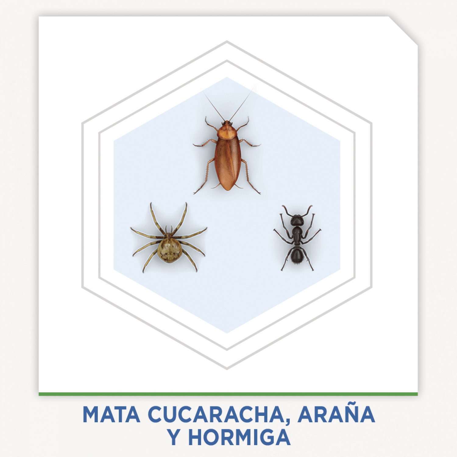 Raid® Insecticida en Aerosol, Protector, Mata Insectos Voladores, Con Aceite Natural de Limoneno, 400ml