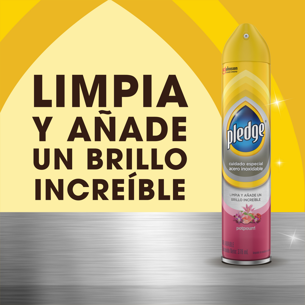 Pledge Lustrador de Muebles de Acero Inoxidable en Aerosol Potpurri 378 mL