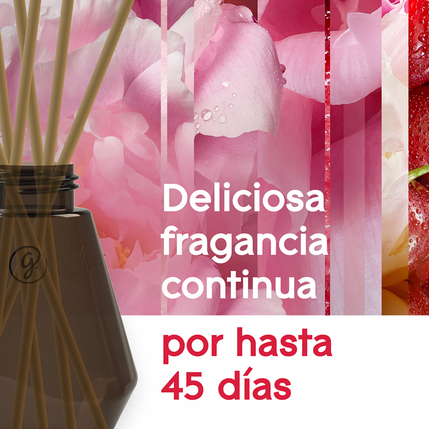 Glade® Aromatizante Varitas Alegría Floral y Frutos Rojos Frasco con 100 ml y 6 Varitas