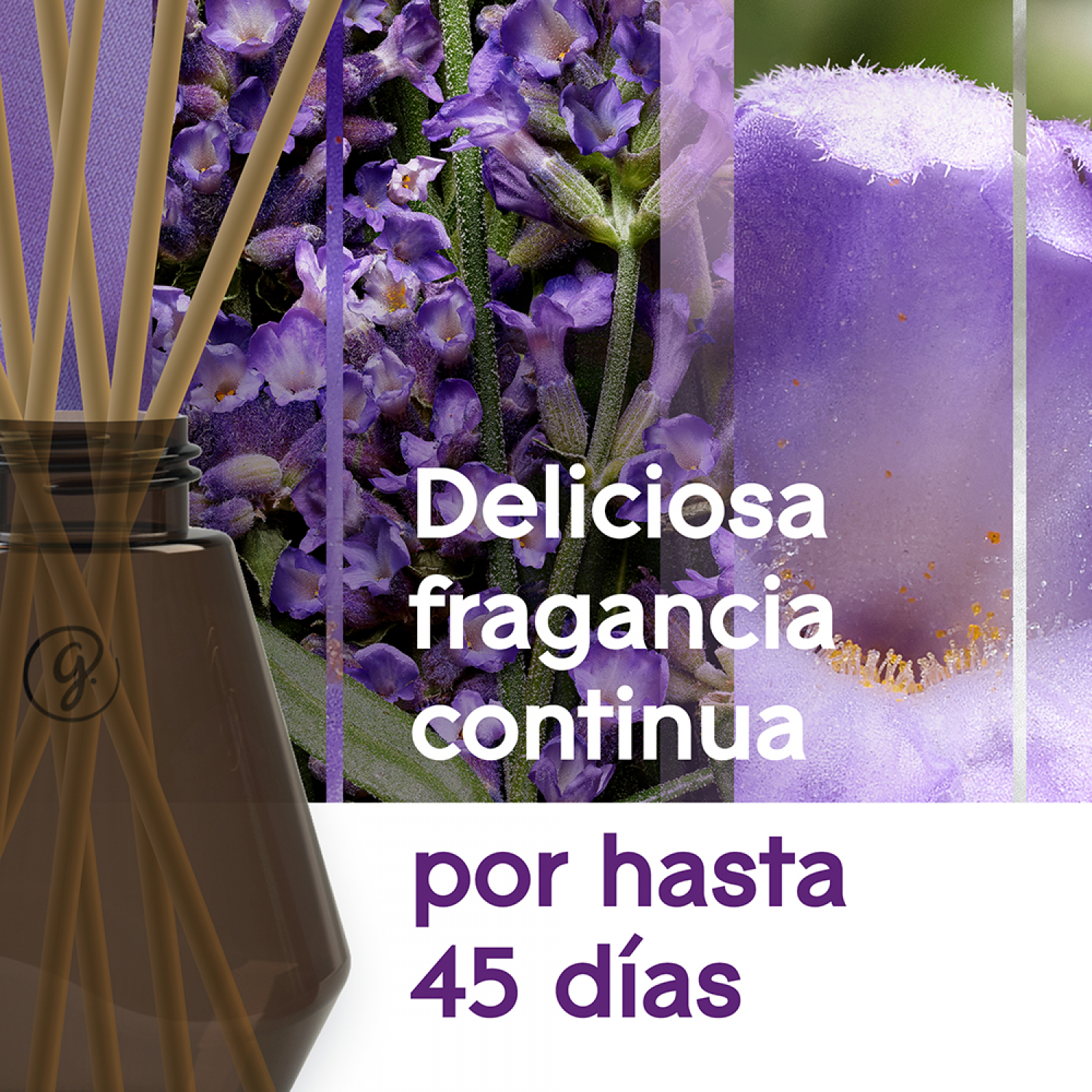 Glade® Aromatizante Varitas Campos de Lavanda Frasco con 100 ml y 6 Varitas