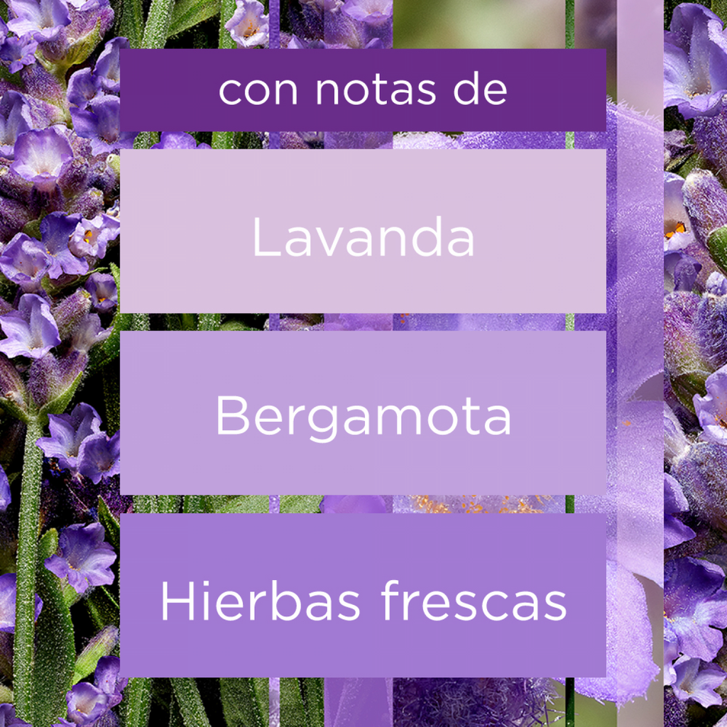 Glade® Aromatizante Varitas Campos de Lavanda Frasco con 100 ml y 6 Varitas