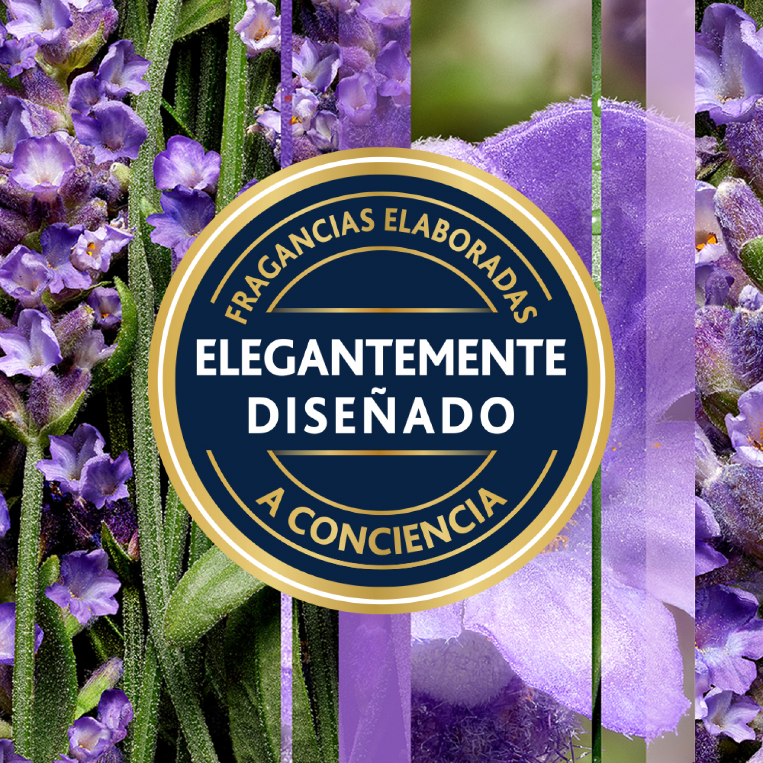 Glade® Aromatizante Varitas Campos de Lavanda Frasco con 100 ml y 6 Varitas