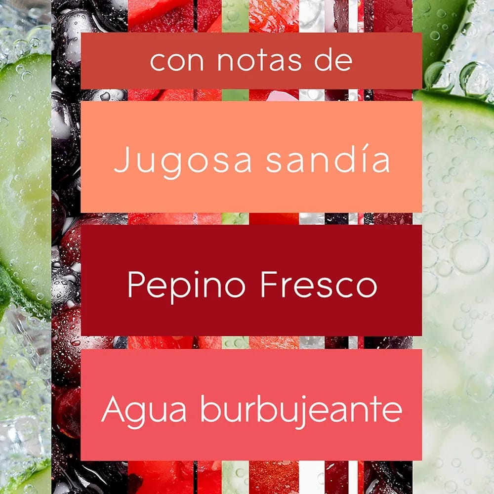 Glade Aromatizante Varita Sandia Frasco con 100 ml y 6 Varitas